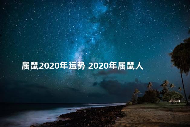 属鼠2020年运势 2020年属鼠人的运势